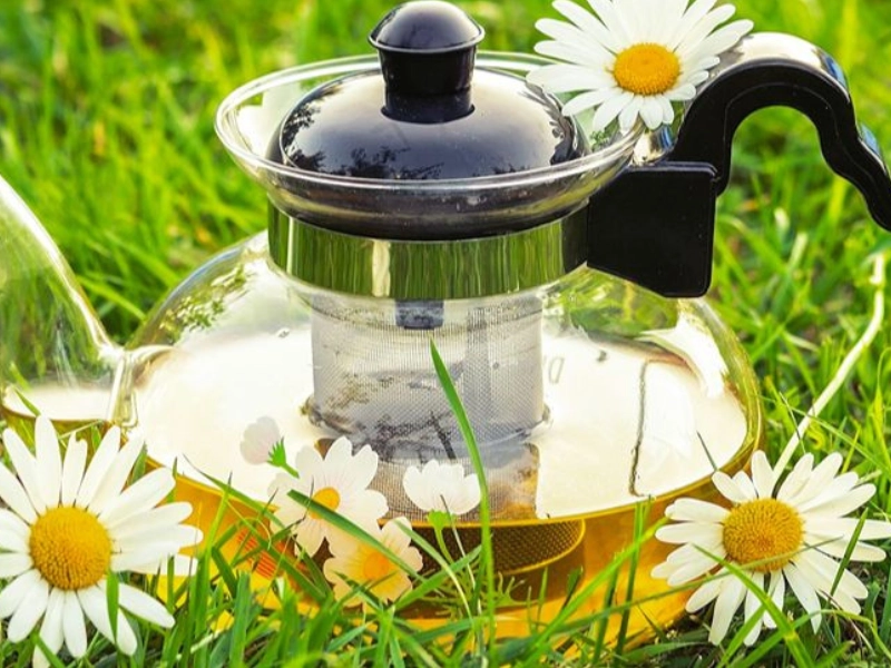 Chamomile