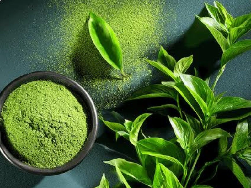 Green Tea