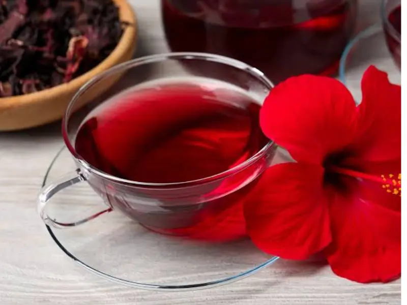 Hibiscus